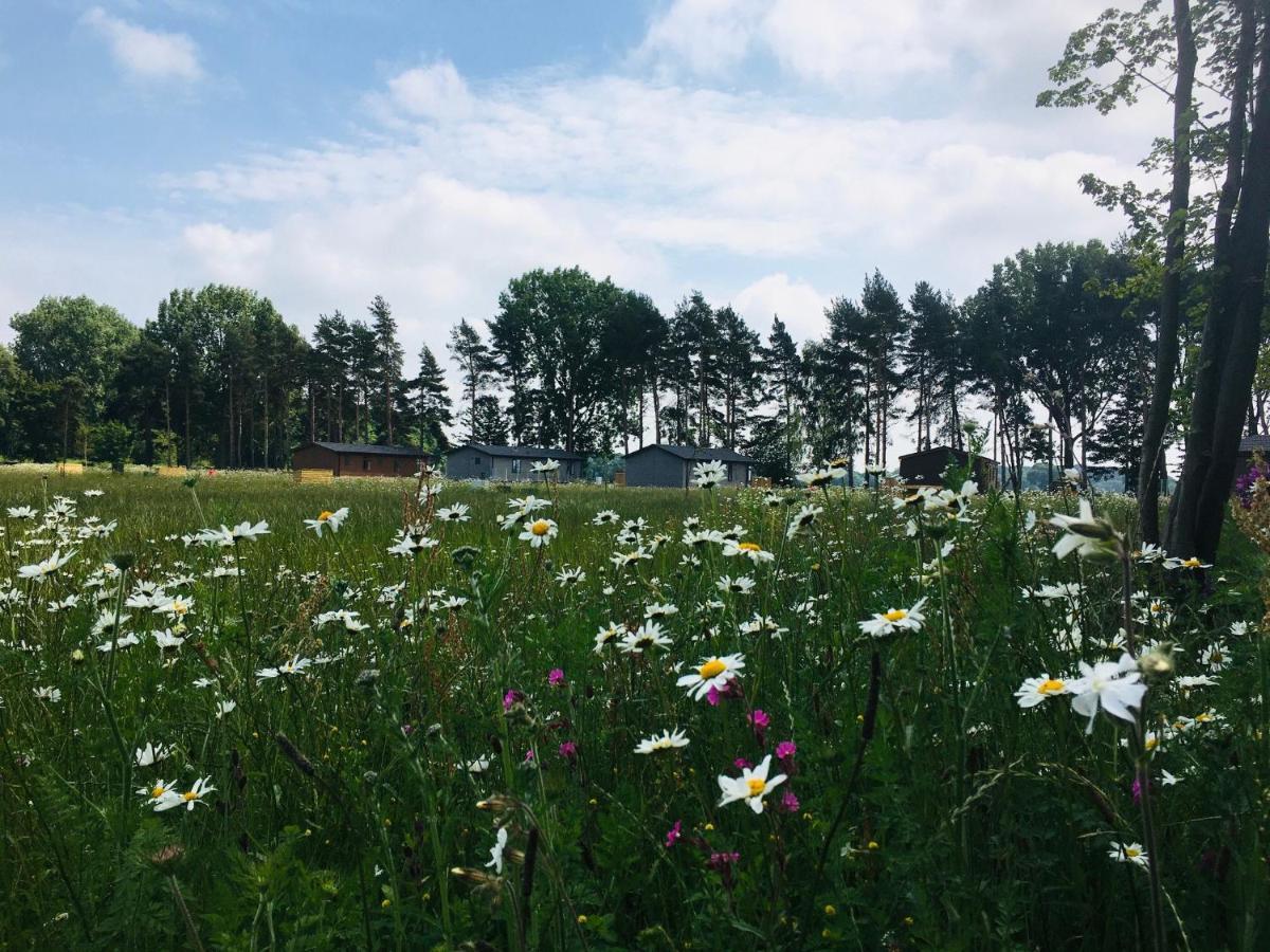 Hollicarrs - Wildflower Lodge 约克 外观 照片